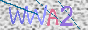 この文字を入力してください