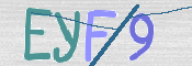 この文字を入力してください