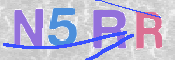 この文字を入力してください