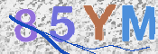 この文字を入力してください
