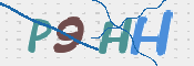 この文字を入力してください