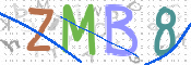この文字を入力してください