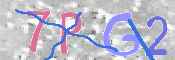 この文字を入力してください