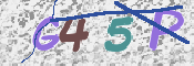 この文字を入力してください