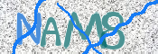 この文字を入力してください