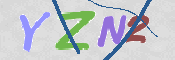 この文字を入力してください