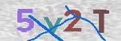 この文字を入力してください