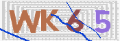 この文字を入力してください