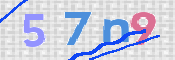 この文字を入力してください