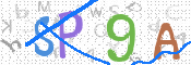 この文字を入力してください