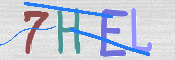 この文字を入力してください