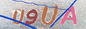 この文字を入力してください