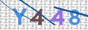 この文字を入力してください