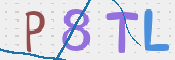 この文字を入力してください