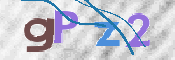 この文字を入力してください