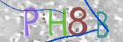 この文字を入力してください