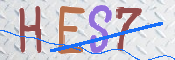 この文字を入力してください