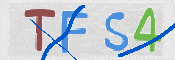 この文字を入力してください