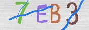 この文字を入力してください