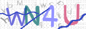 この文字を入力してください