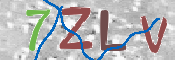 この文字を入力してください