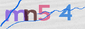 この文字を入力してください