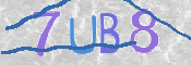 この文字を入力してください
