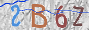 この文字を入力してください