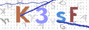 この文字を入力してください