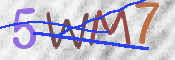 この文字を入力してください