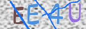 この文字を入力してください