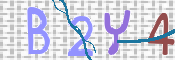 この文字を入力してください
