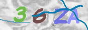 この文字を入力してください