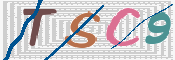 この文字を入力してください