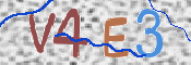 この文字を入力してください