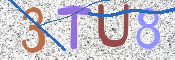 この文字を入力してください
