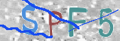 この文字を入力してください