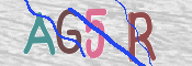 この文字を入力してください