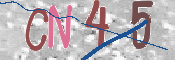 この文字を入力してください