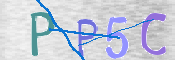 この文字を入力してください