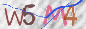 この文字を入力してください