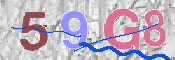 この文字を入力してください