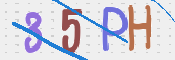 この文字を入力してください