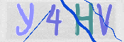この文字を入力してください