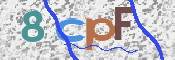 この文字を入力してください