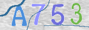 この文字を入力してください