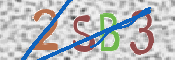 この文字を入力してください