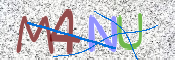 この文字を入力してください