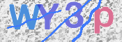 この文字を入力してください