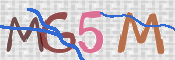 この文字を入力してください